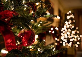 Elevate Your Christmas Decor With Hoselink Solar Lights